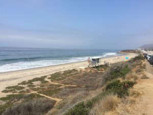 img_20160730_103752
